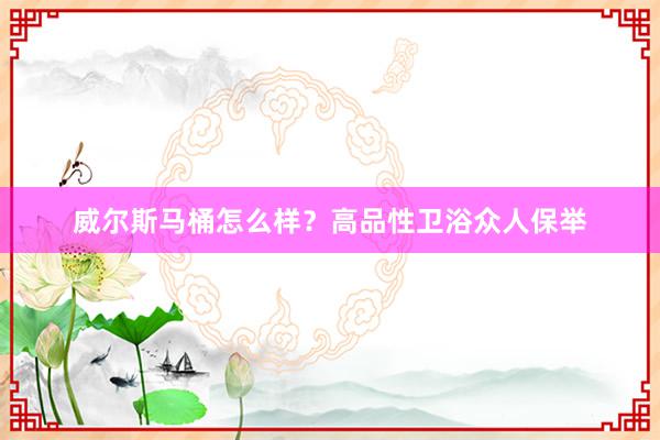 威尔斯马桶怎么样？高品性卫浴众人保举